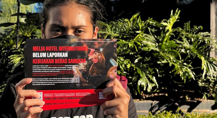 Aktivis Perlindungan Hewan dari AFJ dan AFFA Ajak Masyarakat Desak Meliá Hotel Penuhi Janji Cage-Free Mereka