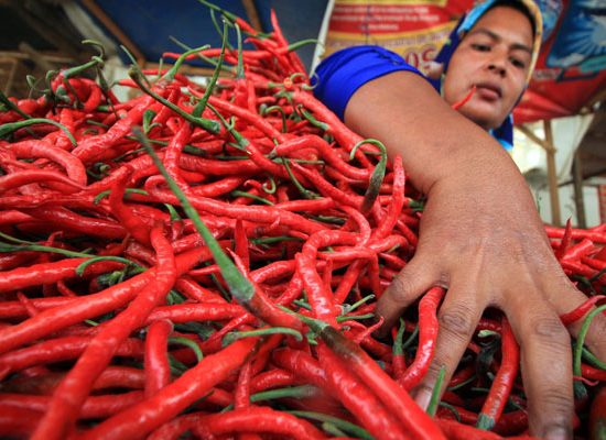 Satu Hari Setelah Awal Ramadhan, Harga Cabai Sentuh 100 Ribu Per Kg