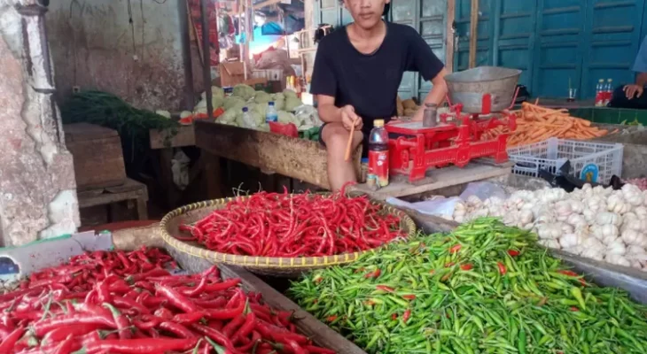 Jelang Lebaran Idul Fitri 1445 H, Sejumlah Harga Kebutuhan Pangan Bergerak Naik