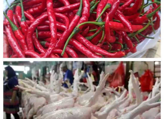 Harga Cabai Merah Turun Lagi Selama Lebaran, Harga Daging Ayam Naik