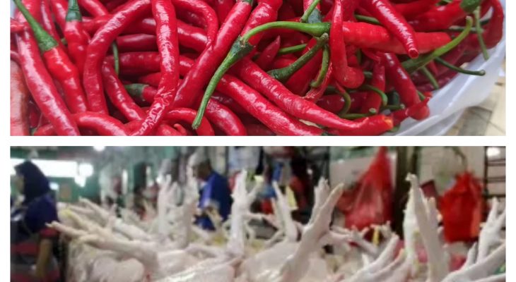 Harga Cabai Merah Turun Lagi Selama Lebaran, Harga Daging Ayam Naik