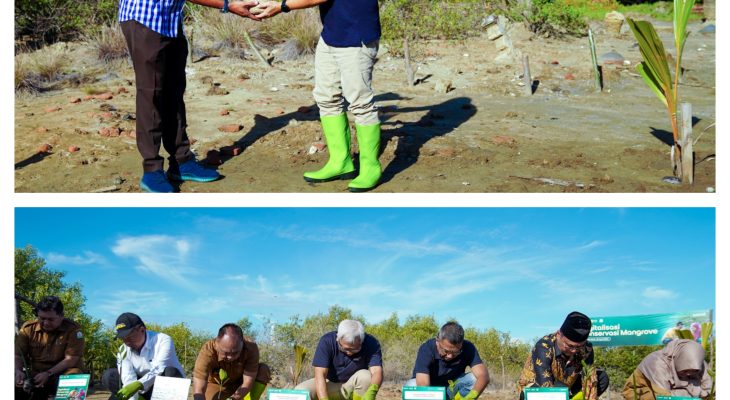 Indosat Optimalkan Teknologi Untuk Konservasi Mangrove di Aceh