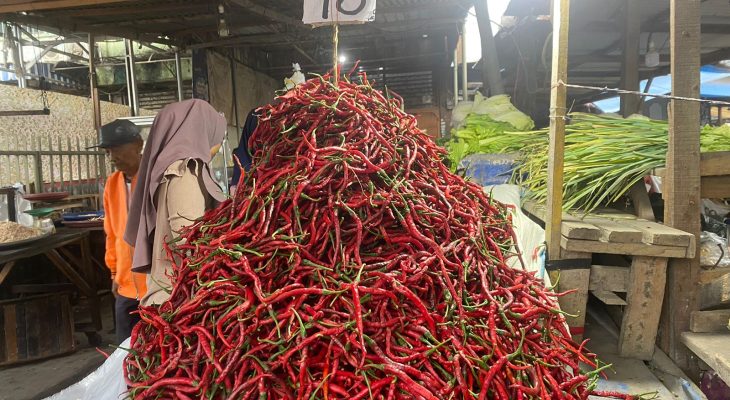 Harga Cabai Merah Bertahan Mahal, Jika Direspon Berlebihan Bisa Membunuh Petani