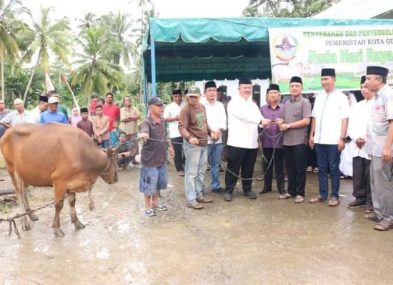 Penyerahan Hewan Qurban di Masjid Jami’ Syuhada Desa Olora oleh Pemko Gunungsitoli