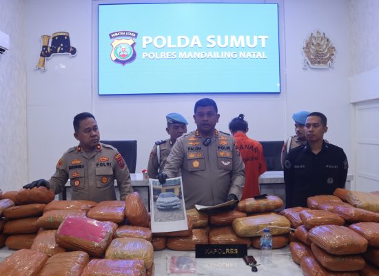 Polres Madina Ringkus Dua Orang Kurir Ganja 154 Kilo Kilogram