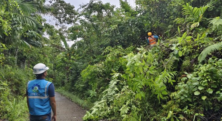 Peran BUMN Dalam Kemerdekaan RI, PLN ULP Teluk Sampaikan Pentingnya Perampalan Pohon