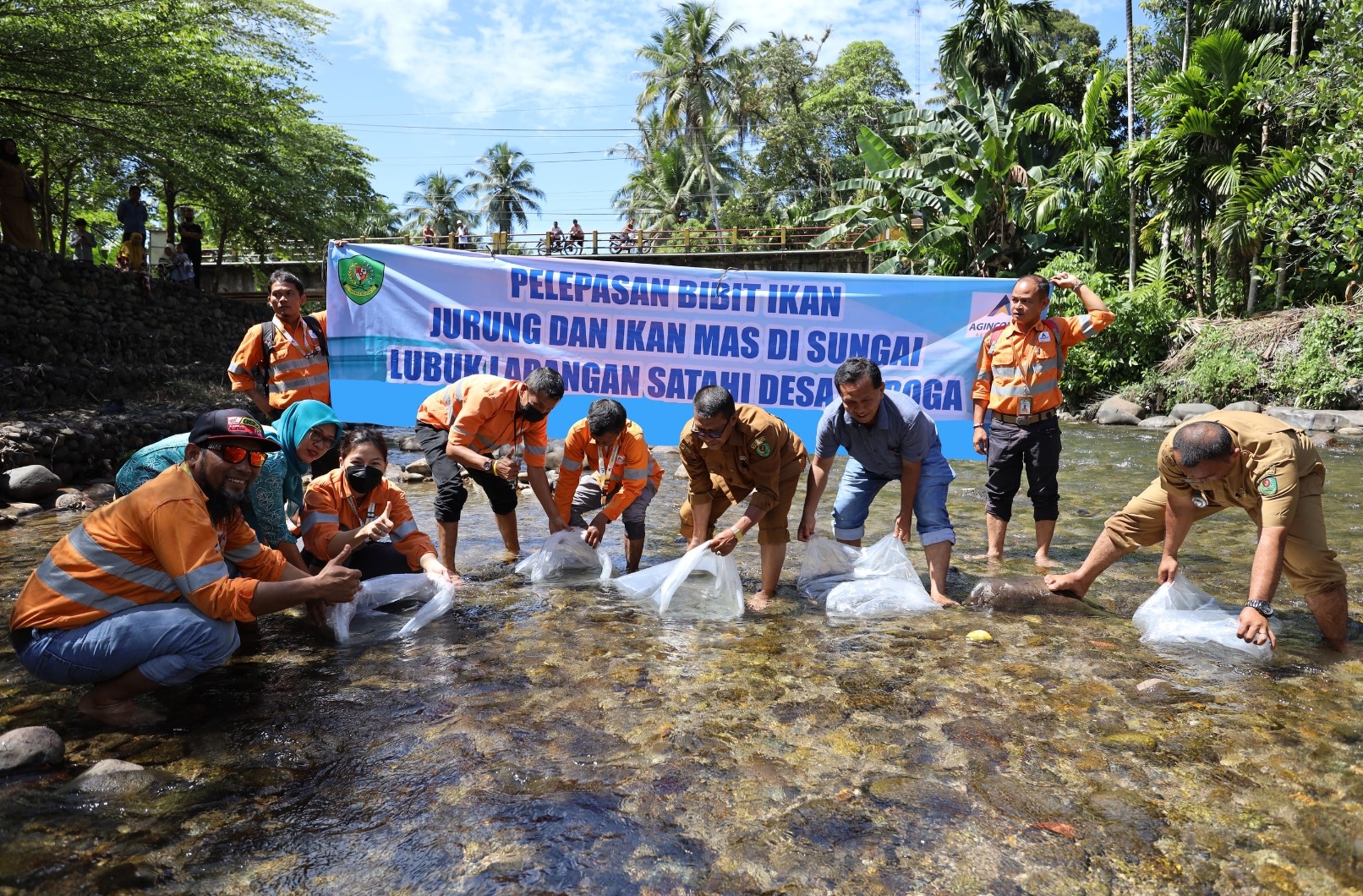Dorong Ekosistem Perairan Lestari, Agincourt Resources Tebar Puluhan Ribu Bibit Ikan di Lubuk Larangan