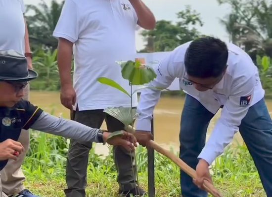 Bank Sumut bersama Yayasan Budaya Hijau Indonesia Menggelar Kegiatan Hari Menanam Pohon Indonesia