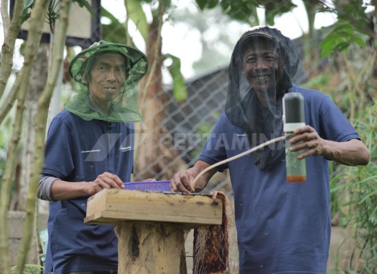Pertamina Dukung 13 Kelompok Perhutanan Sosial untuk Penguatan Komoditas Pangan