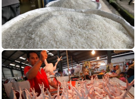 Berikut Pemicu Harga Beras dan Daging Ayam Merangkak Naik
