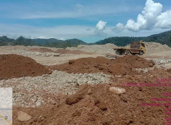 Proses Rehabilitasi Lahan Bekas Tambang Kota Nopan Menjadi Lahan Produktif
