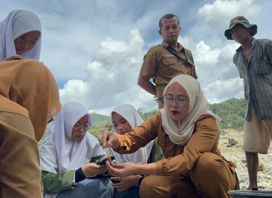 Mantap, BPP Hutarimbaru Bersama Kelompok Tani Uji Coba Reklamasi Eks Tambang