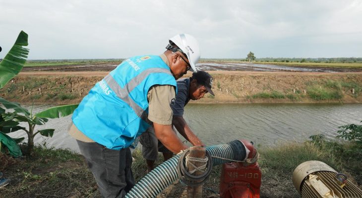 Dukung Tranformasi Pertanian Modern, Electrifying Agriculture PLN Raih 53.539 Pelanggan Baru di Tahun 2024