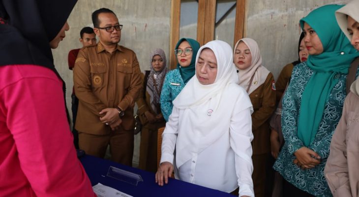 Wakil Ketua TP Posyandu Sumut Bergembira dan Apresiasi Layanan Posyandu Sudah Cukup Baik