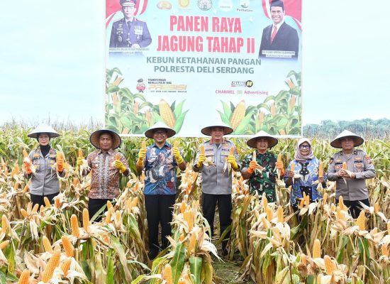 Panen Jagung Tahap II Wujud Sinergi Dukung Swasembada dan Ketahanan Pangan
