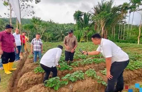 Kepala Balai Besar Karantina Sumut Kunjungi Desa Mondrowe, Bahas Ketahanan Pangan Bersama Wabup Nisel