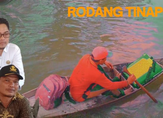 Rodang Tinapor Dan Pengembangannya, Camat Siabu: Apresiasi