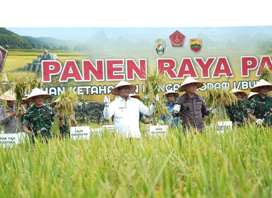 Panen Raya di Pantai Labu, Panglima TNI: Ketahanan Pangan Ketahanan Negara
