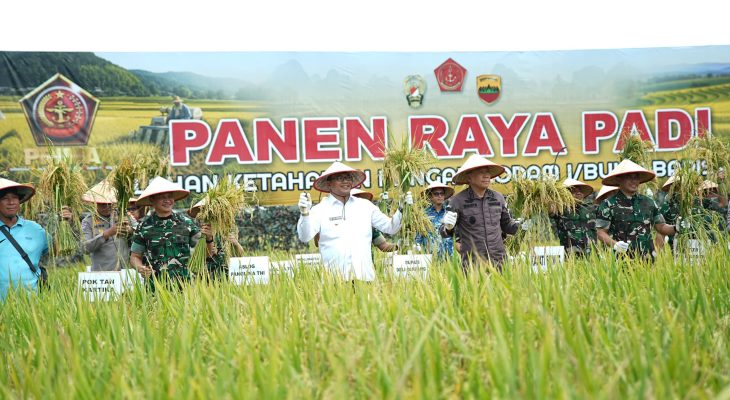 Panen Raya di Pantai Labu, Panglima TNI: Ketahanan Pangan Ketahanan Negara