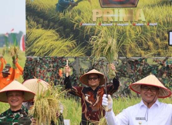 Wakil Wali Kota Tanjungbalai Hadiri Panen Raya Padi Lahan Ketahanan Pangan Kodam I/BB Bersama Panglima TNI di Deli Serdang