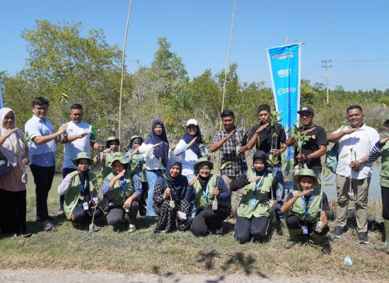 Peringati Hari Mangrove Sedunia, Pelindo Regional 1 Tanam Ribuan Bibit Mangrove di Pesisir Batu Bara