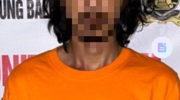Respon Cepat, Polsek TBU Ringkus Pelaku Pencurian