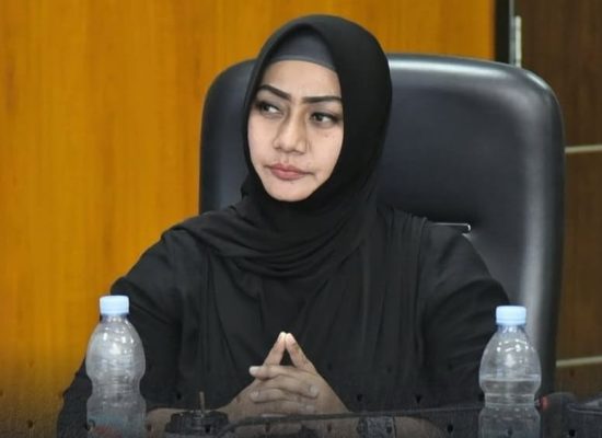Wacana Pansus Reklame Menguat di DPRD Medan, Lailatul Badri: Jangan Sampai PAD Bocor Terus