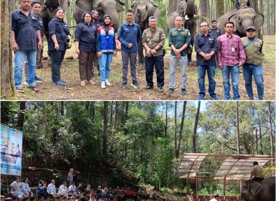 Pertamina Patra Niaga Kembangkan Wisata Edukasi Konservasi Gajah Sumatera di Aek Nauli