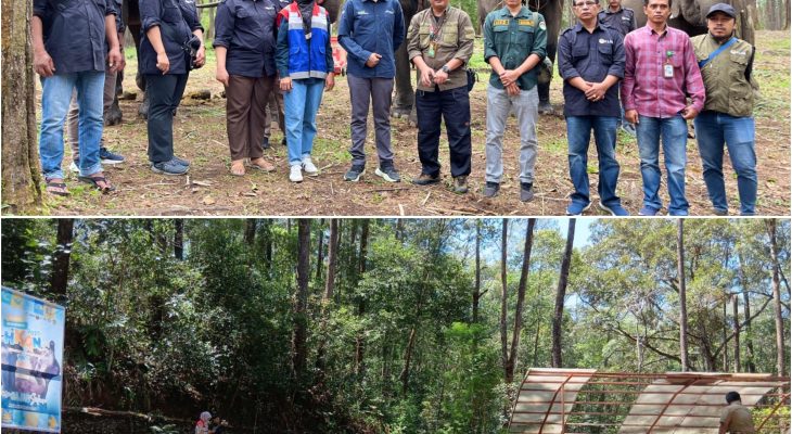 Pertamina Patra Niaga Kembangkan Wisata Edukasi Konservasi Gajah Sumatera di Aek Nauli