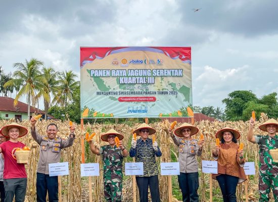 Wesly Diwakili Zainal Siahaan Bersama Forkopimda Panen Raya Jagung Serentak di Siantar Marimbun