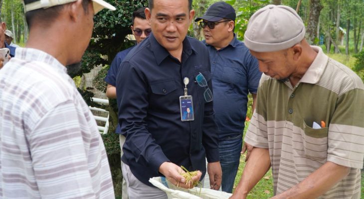 BULOG Sumut Serap 3 Ton Gabah Petani di Langkat dengan Harga Sesuai Ketentuan