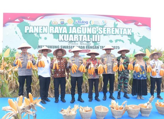 Panen Jagung Sumut Kuartal III 22 Ribu Ton