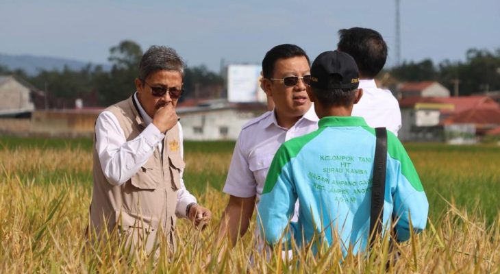 Perum BULOG Siap Serap Gabah Petani Rp6.500/Kg, Tegaskan Komitmen Swasembada Pangan