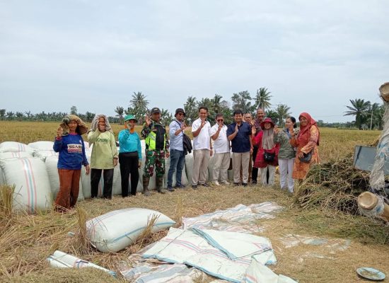 Perum BULOG Sumut Siap Serap Gabah Petani dengan Harga Rp6.500/Kg