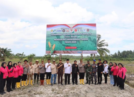 Tanam Jagung Serentak Kuartal IV, Bukti Dukung Swasembada Pangan Nasional