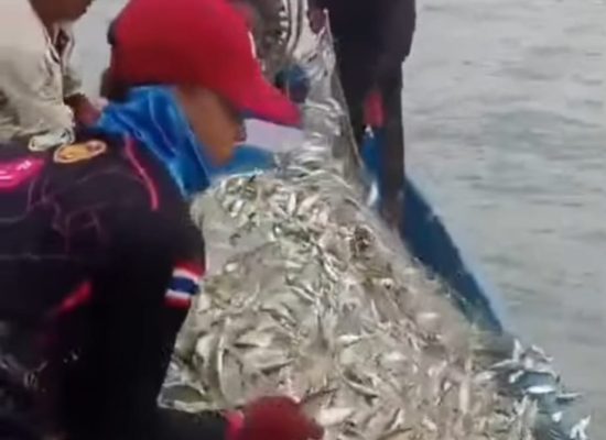 Nelayan Batu Bara Panen Ikan, Ekosistem Laut Mulai Pulih