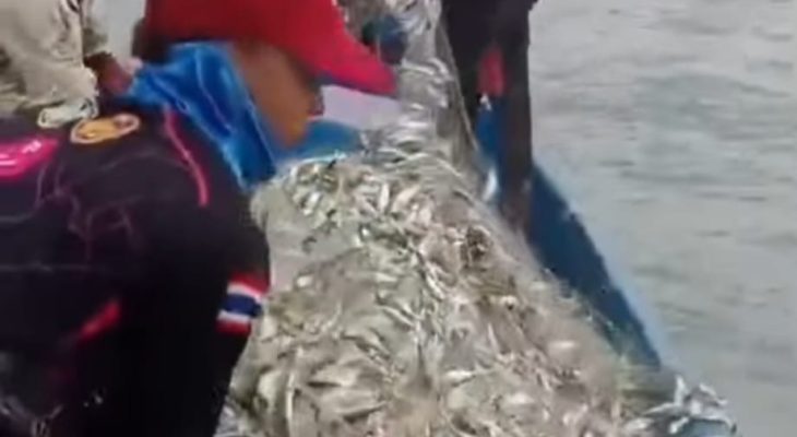 Nelayan Batu Bara Panen Ikan, Ekosistem Laut Mulai Pulih
