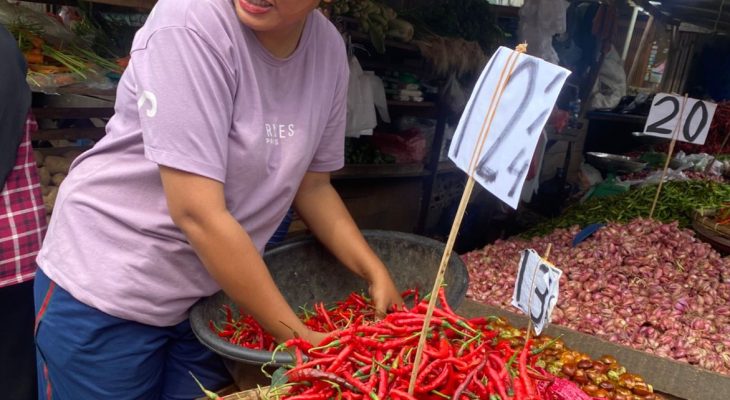Harga Cabai Merah di Medan Anjlok Tajam, Diprediksi Turun hingga Rp35 Ribu per Kg