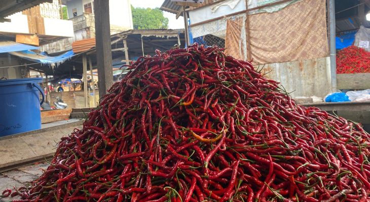 Harga Cabai Merah Turun Tajam di Akhir Pekan, Distribusi Pulih Pasca Bencana