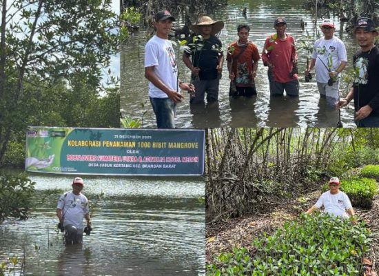 Didukung Pemprovsu, Kolaborasi Bobylovers Sumut Kembali Tanam Seribu Bibit Mangrove di Langkat