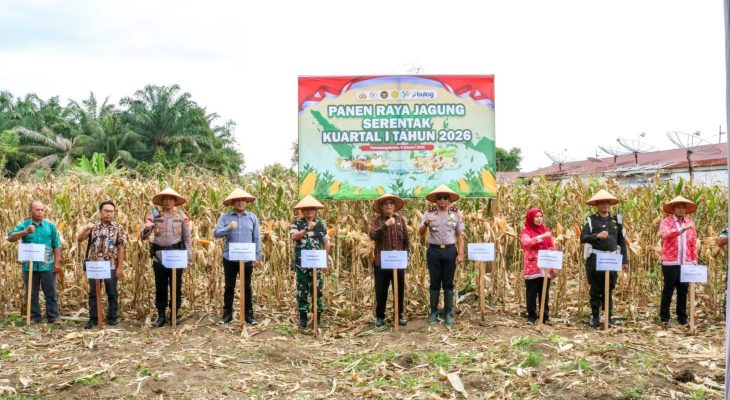 Wali Kota Wesly Diwakili Asisten Zainal Siahaan Hadiri Panen Raya Jagung di Sumber Jaya