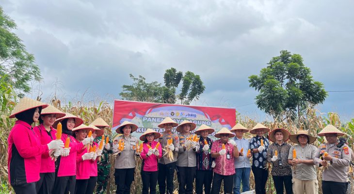 Medan Tuntungan Ambil Peran dalam Panen Raya Jagung Nasional Polri
