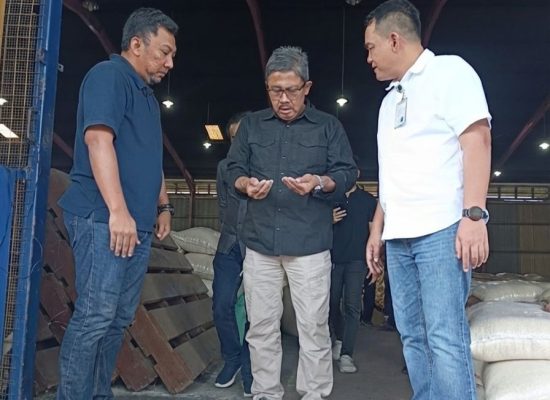 Bulog Pastikan Siap Serap Gabah dan Jagung Petani di Musim Panen