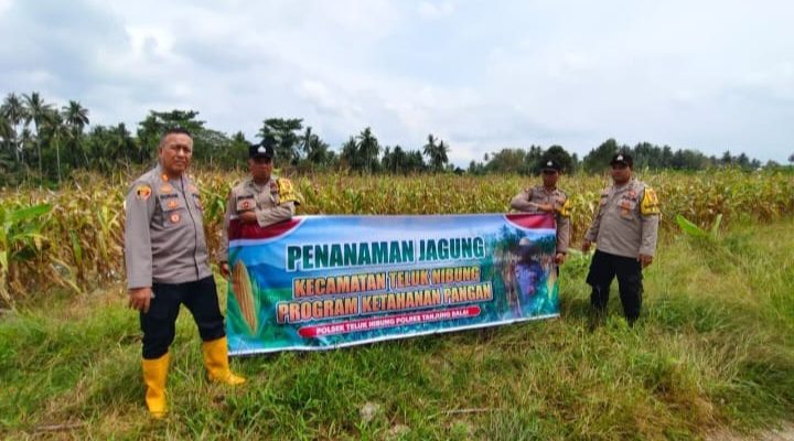 Dukung Ketahanan Pangan, Polsek Teluk Nibung Sulap 8 Hektare Lahan Jadi Kebun Jagung