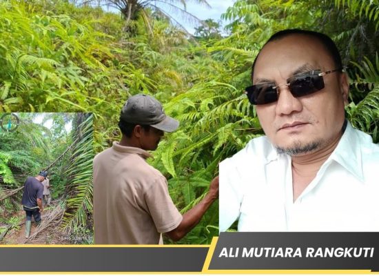 14 Tahun Tanpa Kepastian, Ali Mutiara Desak Pengembalian Hutan Adat dari PT PSU