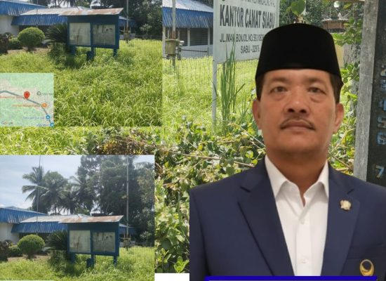 Sulton Nasution Soroti Rumput Liar di Kantor Camat Siabu, Tegaskan Kebersihan Cermin Pelayanan