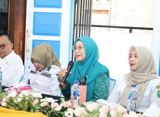 Ketua TP PKK Madina Kunjungi Desa Binaan Hatinya PKK dan UP2K