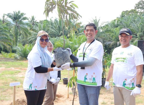 PLN UID Sumut Tanam Pohon di Tapanuli Tengah, Dorong Pemulihan Lingkungan dan Ekonomi Warga