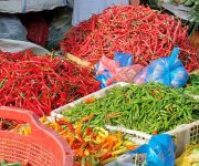 Harga Cabai di Medan Kembali Normal Pascaiduladha, Daging Ayam dan Sapi Stabil
