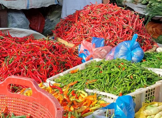 Harga Cabai di Medan Kembali Normal Pascaiduladha, Daging Ayam dan Sapi Stabil